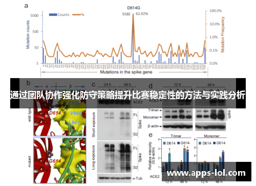 通过团队协作强化防守策略提升比赛稳定性的方法与实践分析