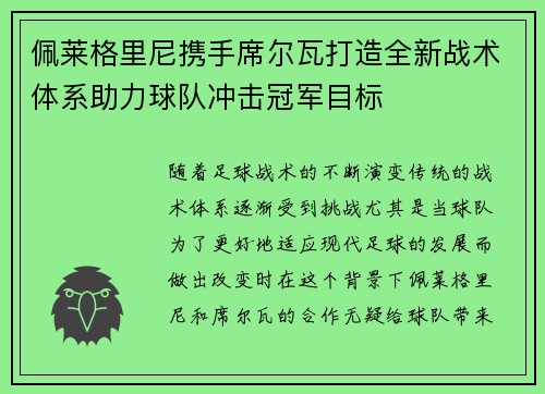 佩莱格里尼携手席尔瓦打造全新战术体系助力球队冲击冠军目标