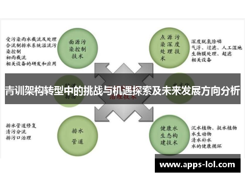 青训架构转型中的挑战与机遇探索及未来发展方向分析